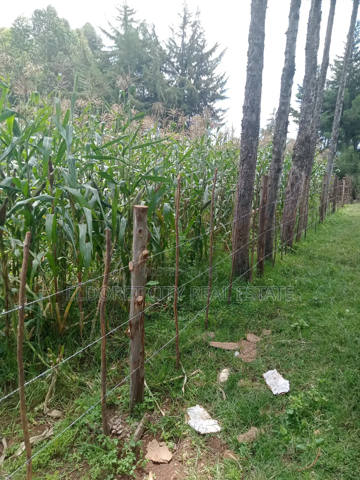 1/4 Plot Before Ilula Center With Title in Kapsuswa