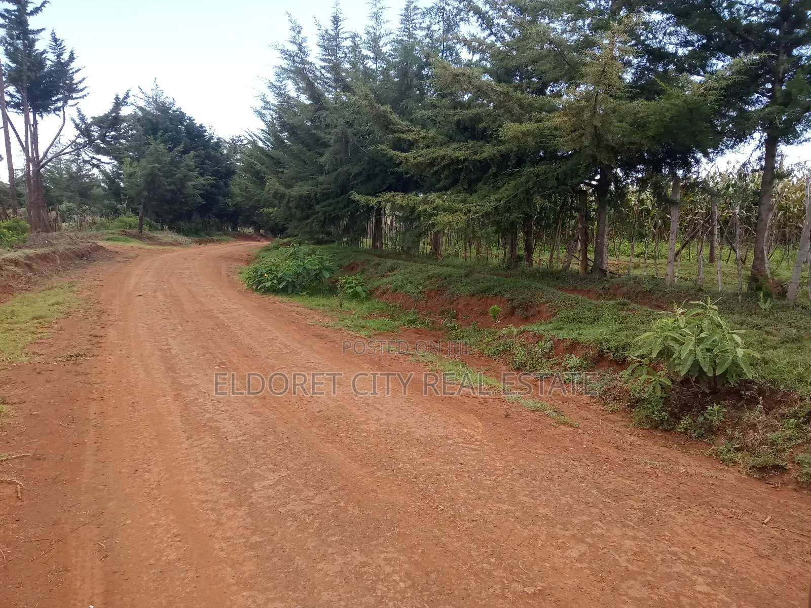 21 Acres on Sale Talnget After Ilula. in Kapsuswa