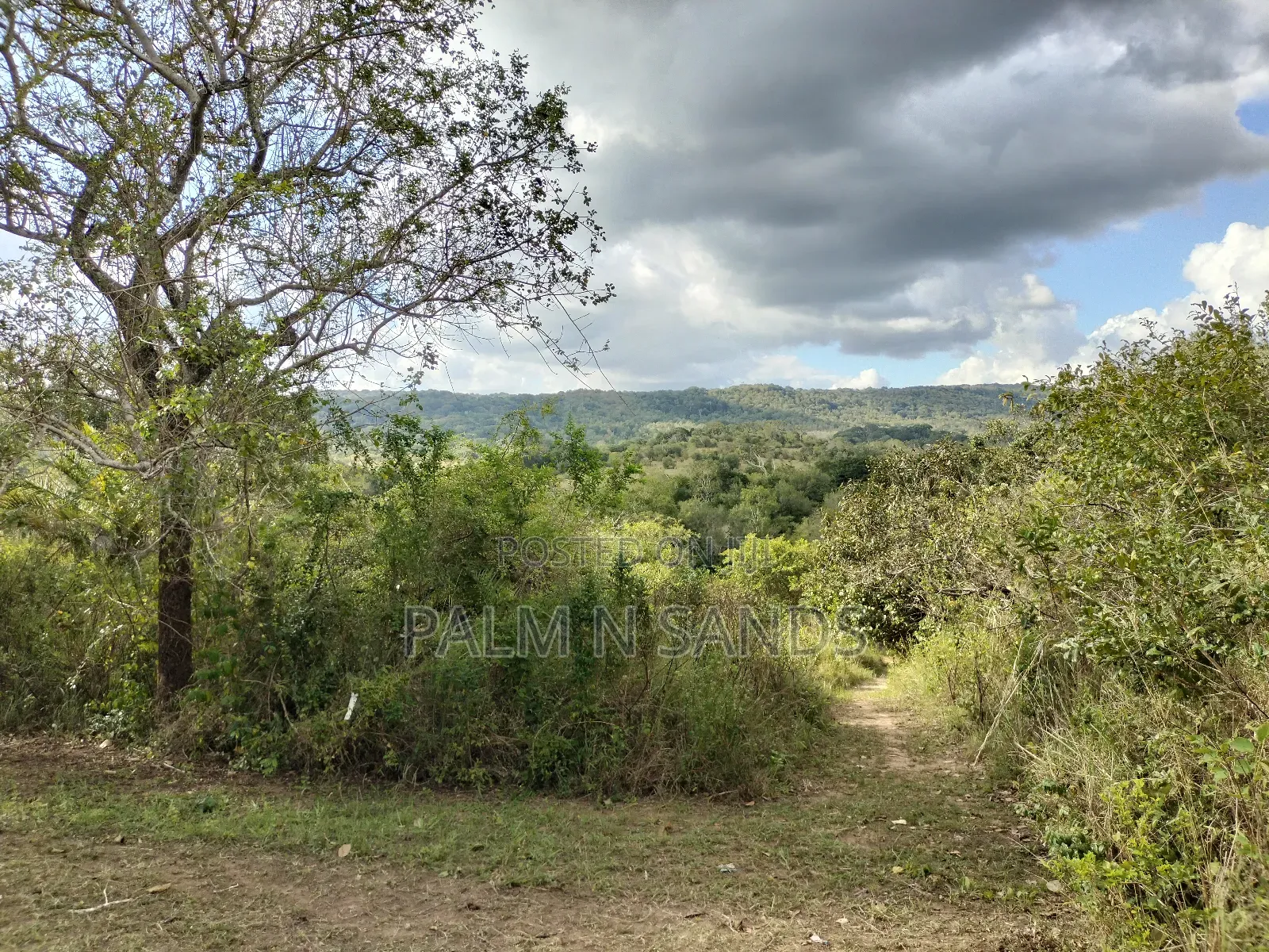 22 Acres Farmland in Shimbahills in Kubo South