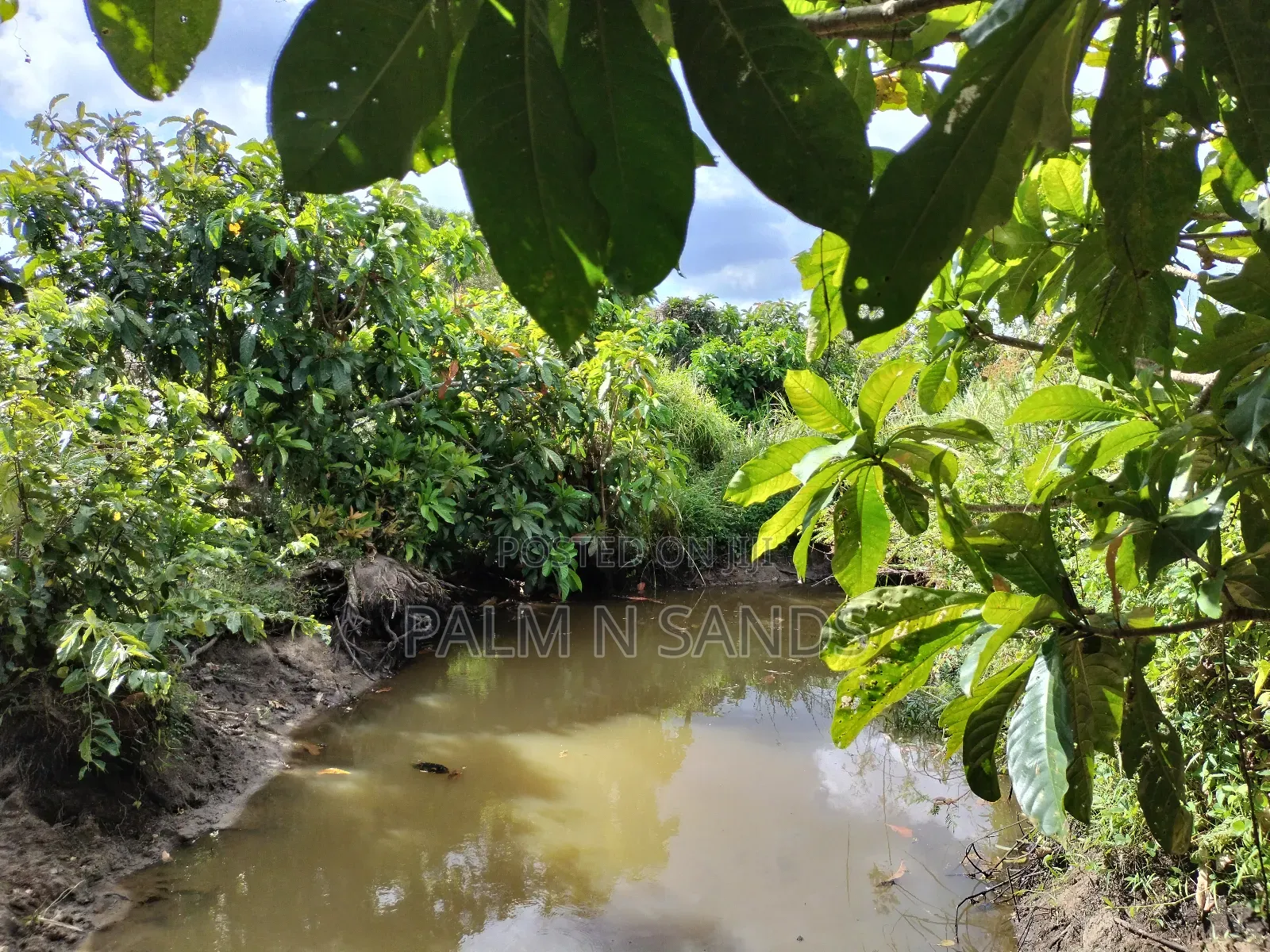 22 Acres Farmland in Shimbahills in Kubo South