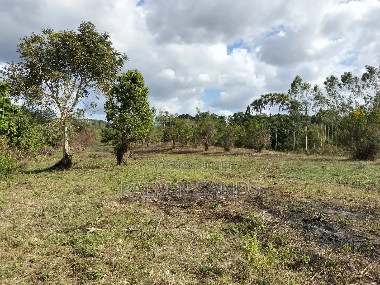 22 Acres Farmland in Shimbahills in Kubo South