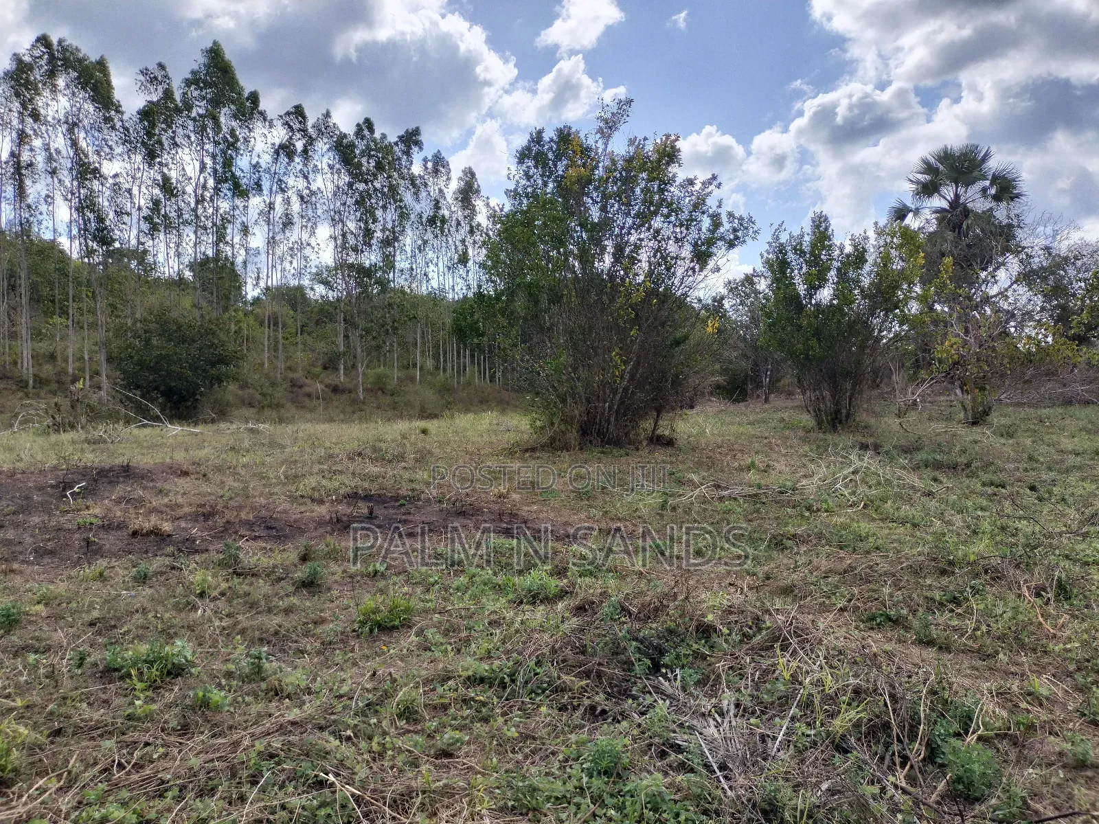 22 Acres Farmland in Shimbahills in Kubo South