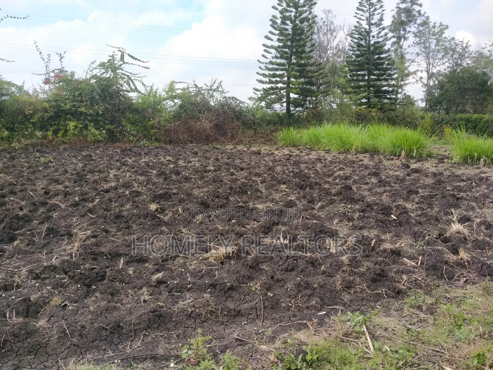 Residential Eighth Acre Plot in Ngong in Olkeri Near Tarmac in Ol Keri
