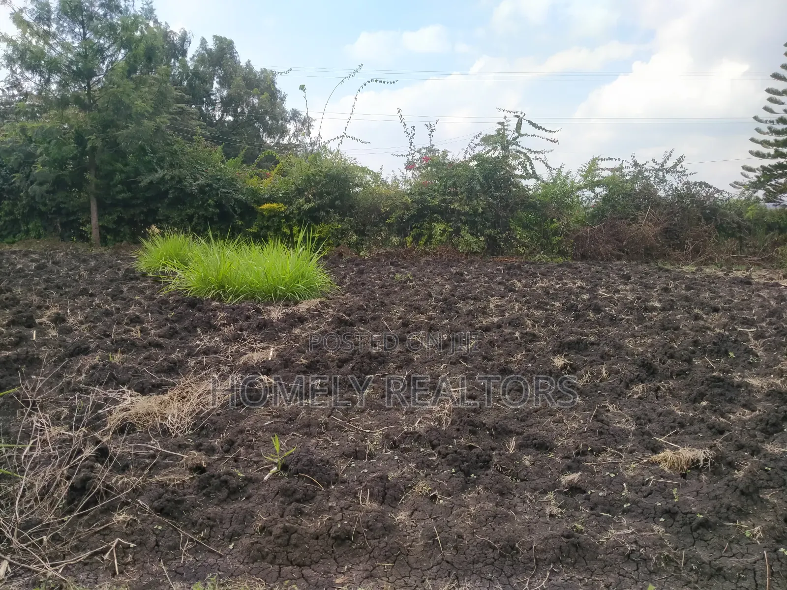 Residential Eighth Acre Plot in Ngong in Olkeri Near Tarmac in Ol Keri