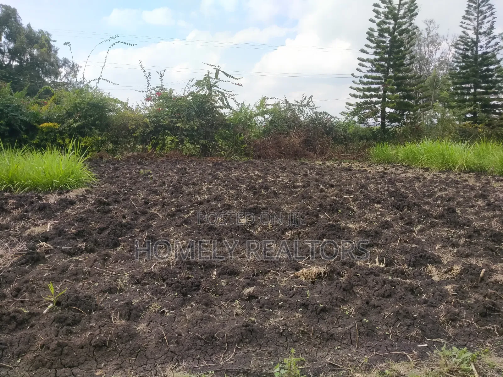 Residential Eighth Acre Plot in Ngong in Olkeri Near Tarmac in Ol Keri