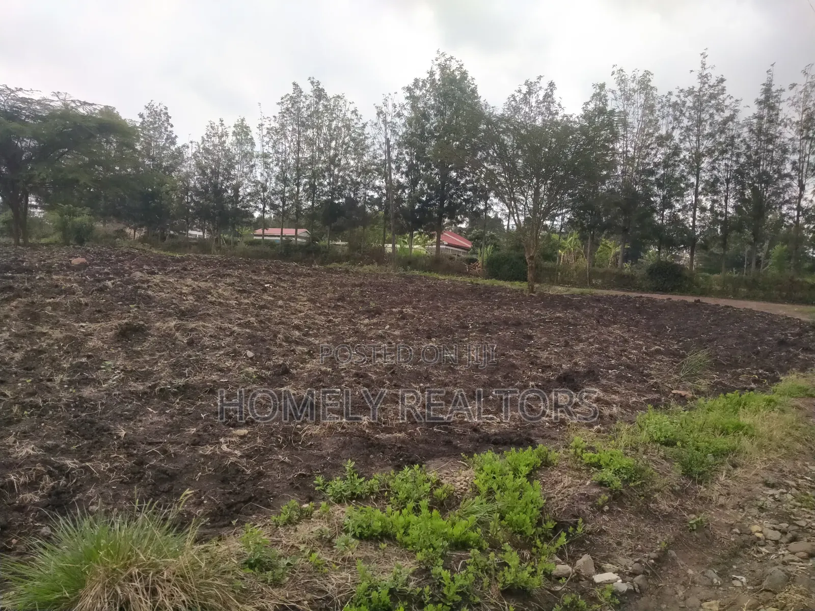 Half Acre Plot in Ngong Along Merisho Road, Near the Tarmac in Matasia