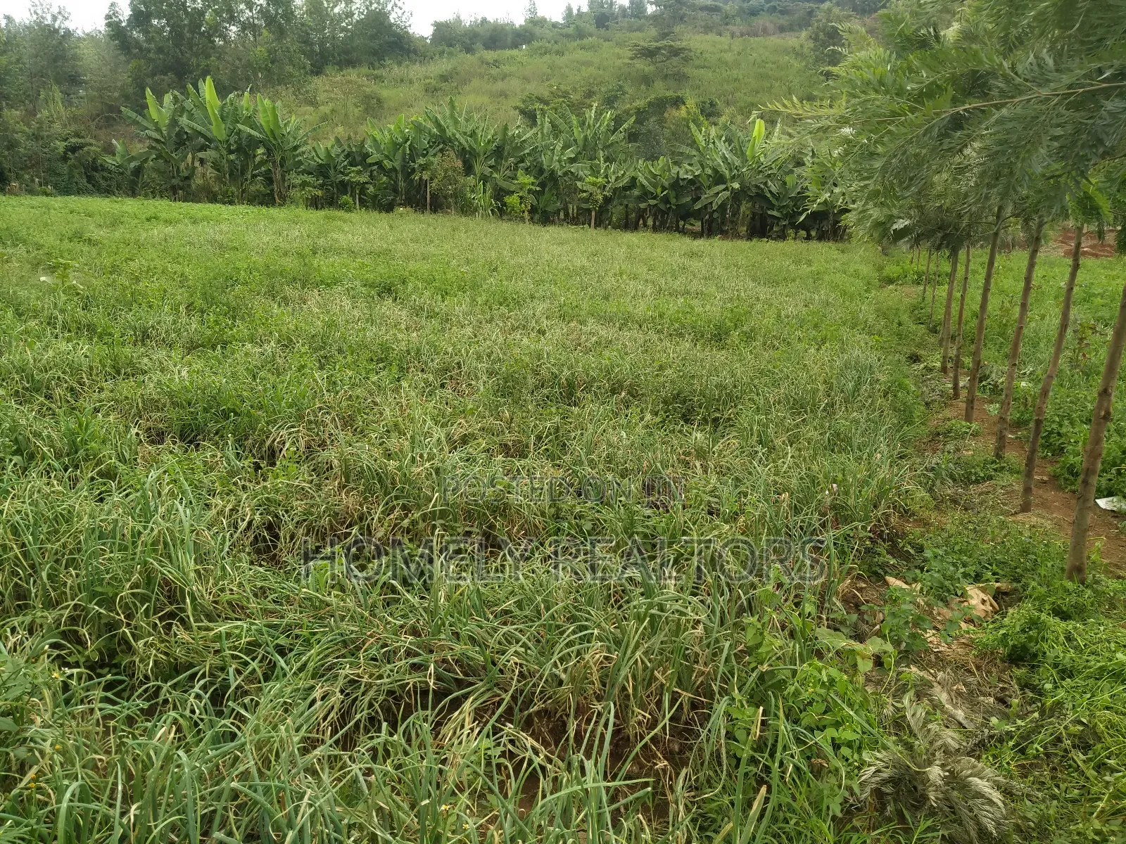 Half Acre Piece of Land in Ngong, Matasia Along Merisho Road in Matasia
