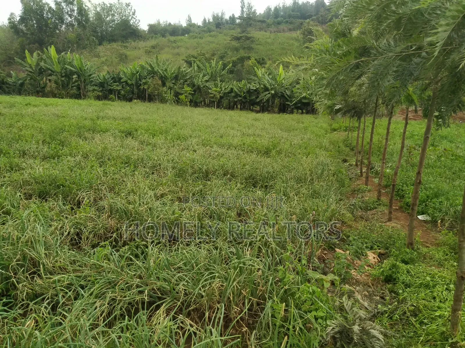 Half Acre Piece of Land in Ngong, Matasia Along Merisho Road in Matasia