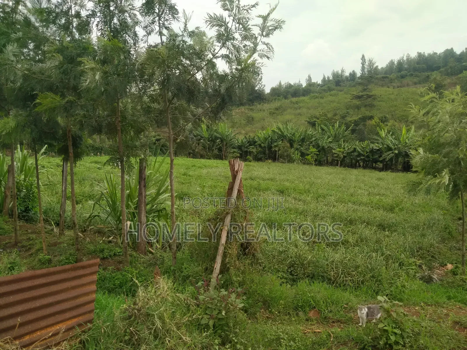 Half Acre Piece of Land in Ngong, Matasia Along Merisho Road in Matasia