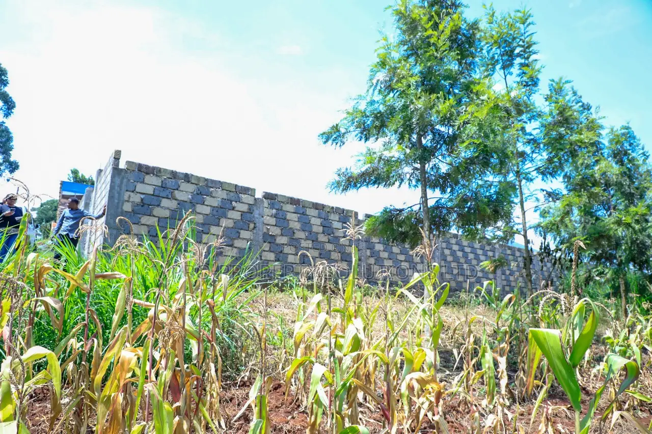 Prime 1/4-Acre Residential Plot for Sale Kikuyu, Thamanda in Kikuyu