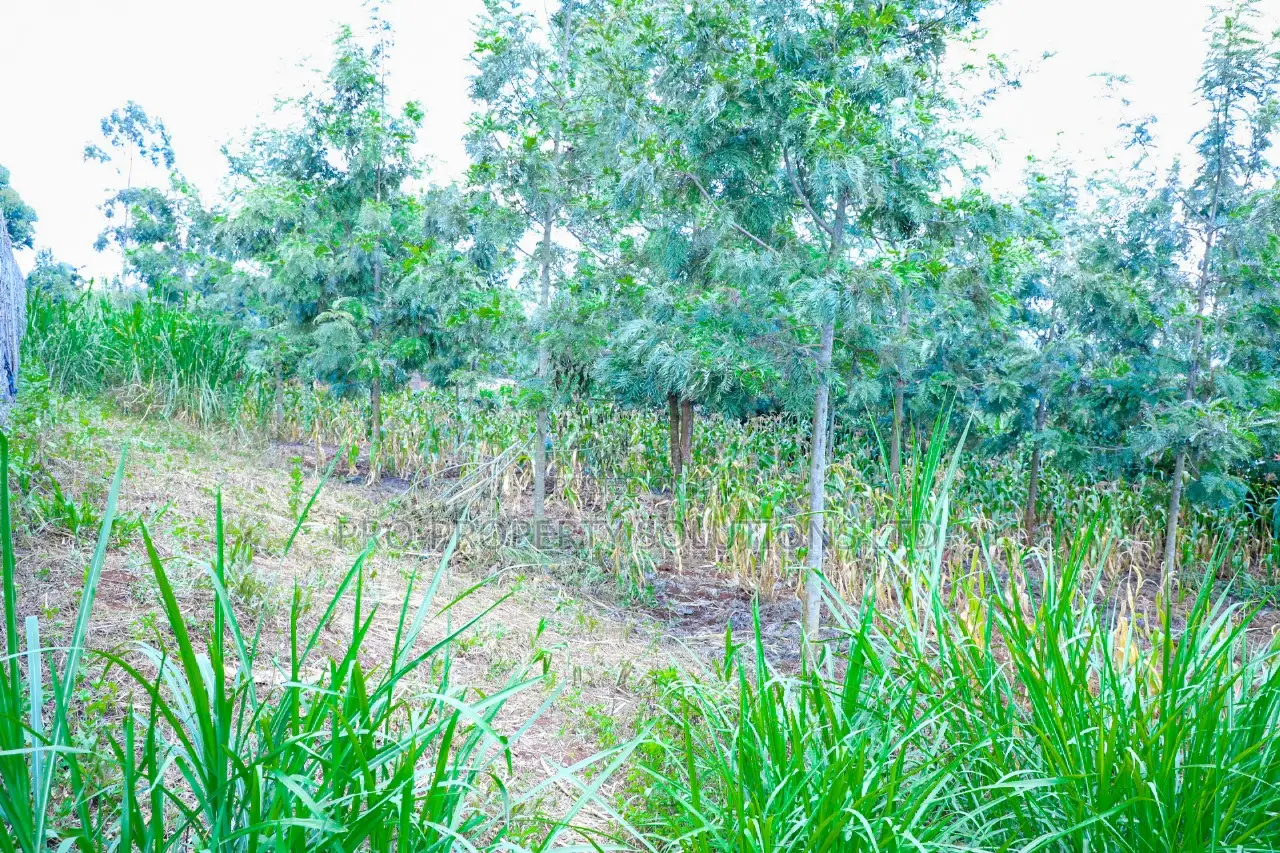 Prime 1/4-Acre Residential Plot for Sale Kikuyu, Thamanda in Kikuyu