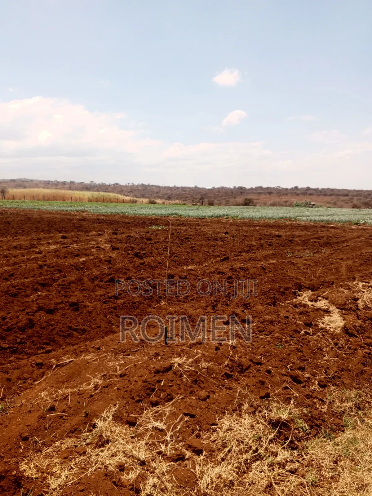 6 Acres,5 Km From the Tarmac in Loitoktok
