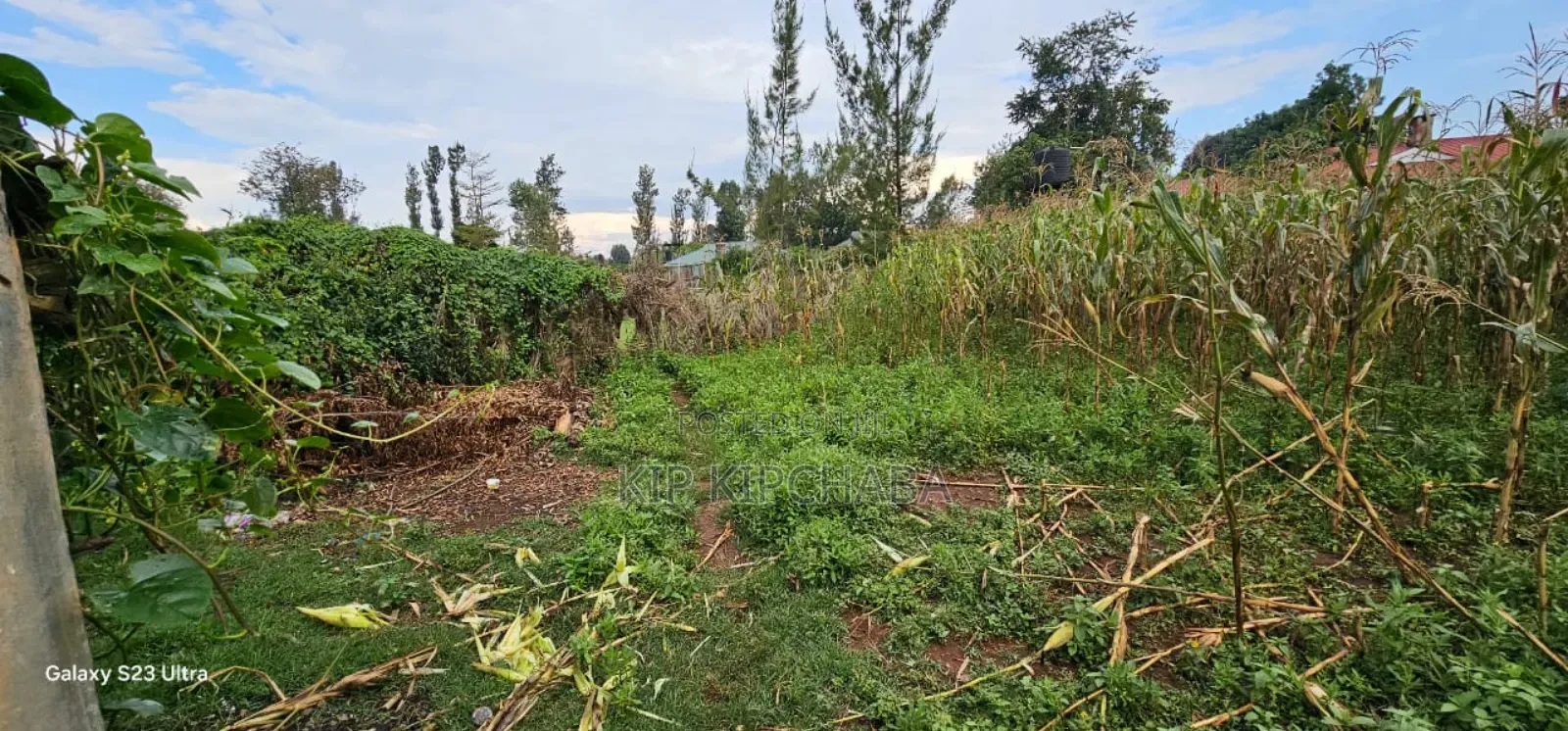 Plot For Sale In Racecours, Eldoret City in Elgon View