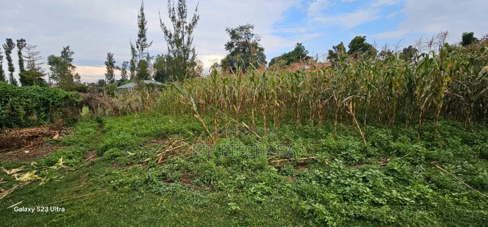 Plot For Sale In Racecours, Eldoret City in Elgon View