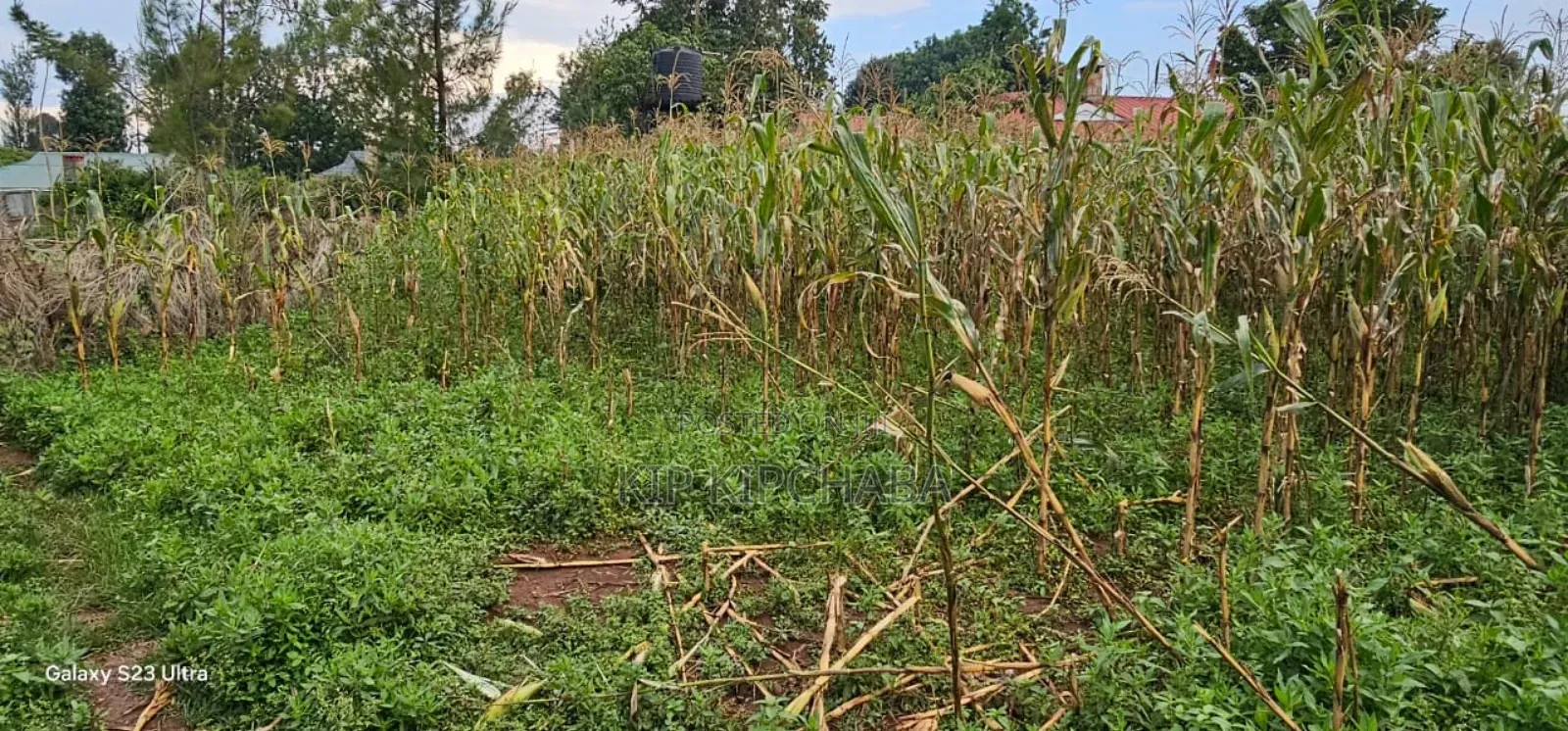 Plot For Sale In Racecours, Eldoret City in Elgon View