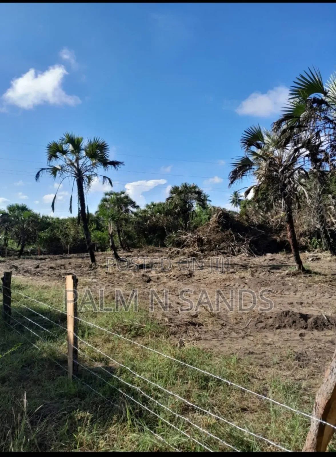 Mwabungo Half Acre Land on Sale!! in Ukunda