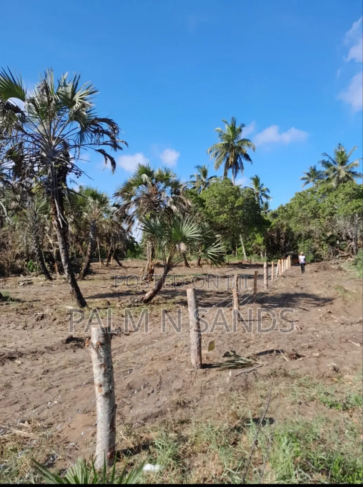Mwabungo Half Acre Land on Sale!! in Ukunda