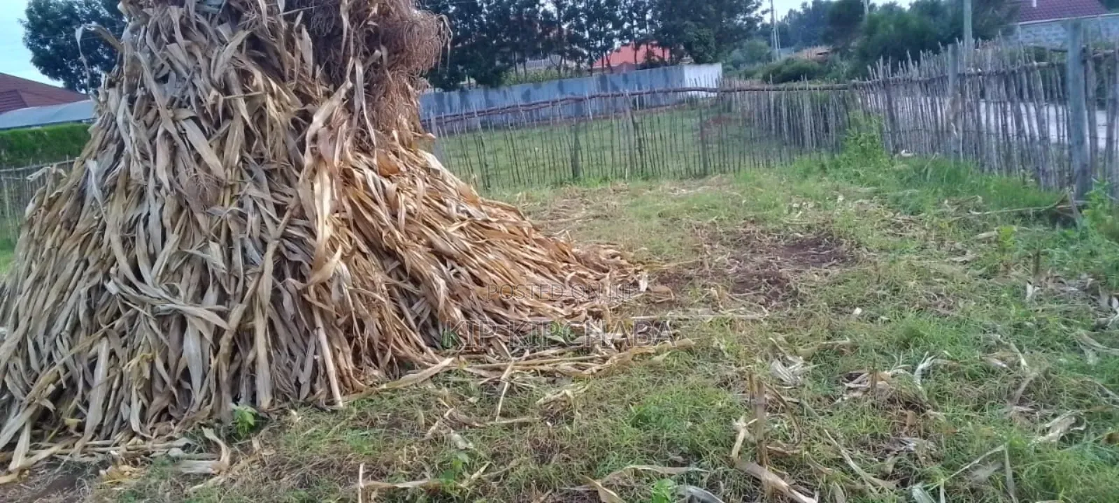 Plot for Sale in Illula Eldoret City After Kapsoya in Illula