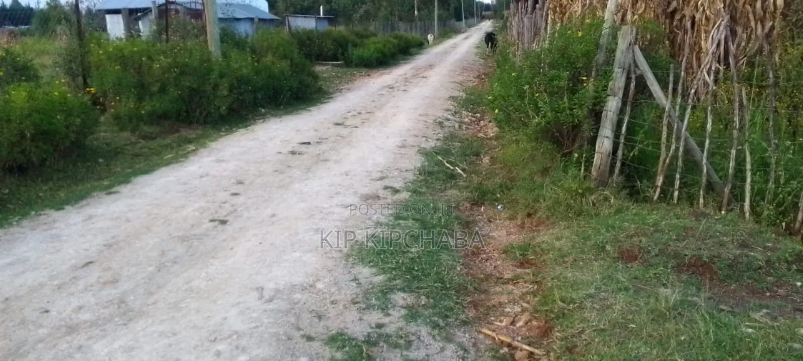 Plot for Sale in Illula Eldoret City After Kapsoya in Illula