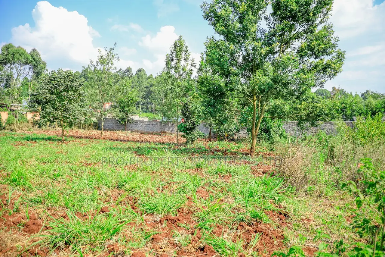 Prime 1/4-Acre Residential Plot for Sale Kikuyu, Thogoto in Kikuyu