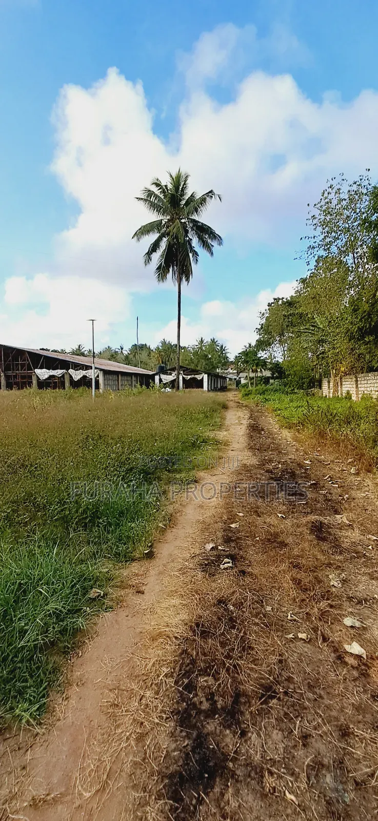 For Sale 3 Acres Poultry Farm Kikambala in Kikambala