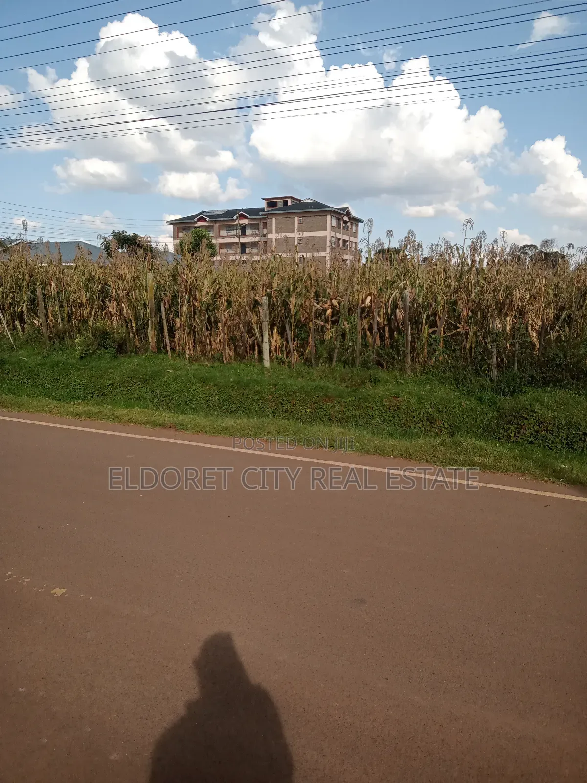 1/4 Plot Annex Mti Moja Touching Feeder Tarmac in Kapsuswa