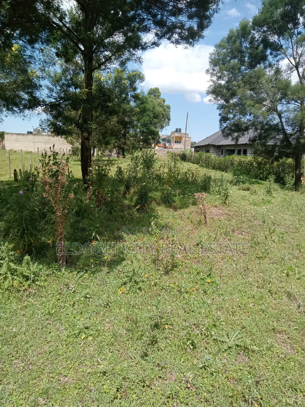 1/4 Plot Royalton After Annex With Title in Kapsuswa