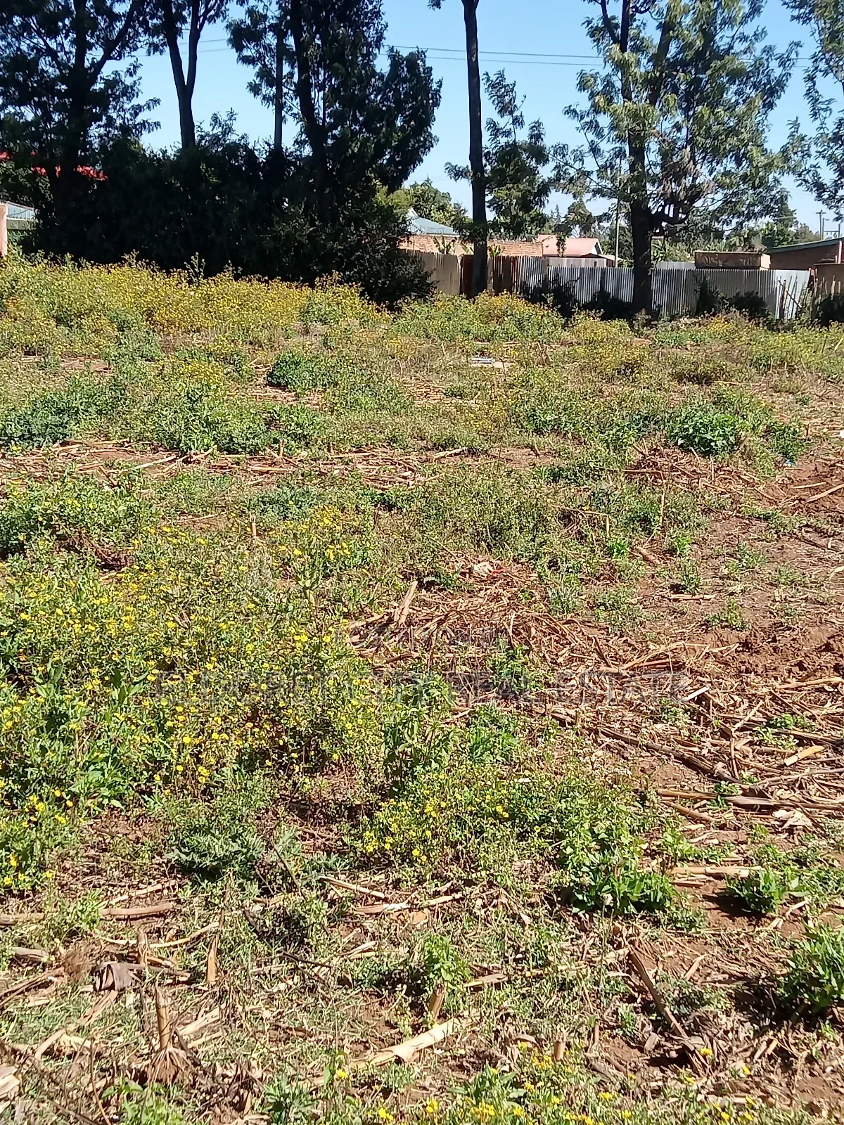 1/4 Plot Kimumu Betterfarm Ideal for Rental in Soy