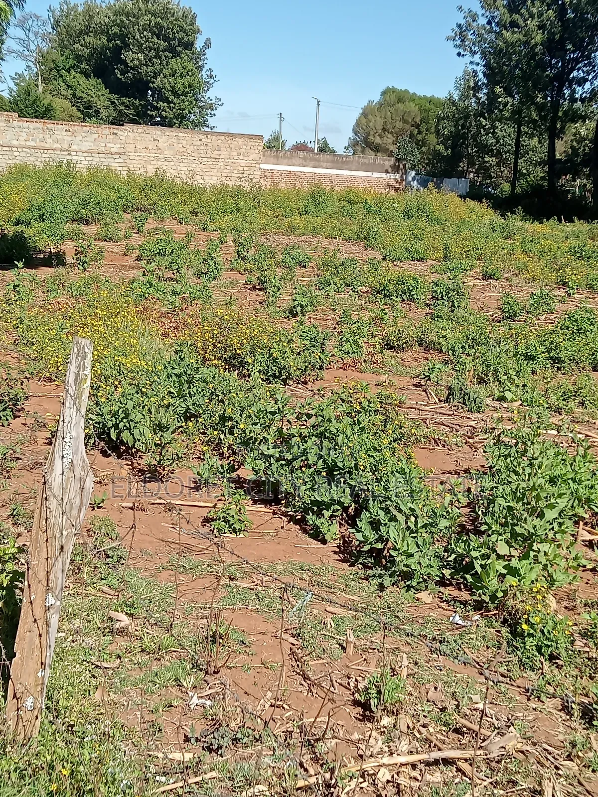 1/4 Plot Kimumu Betterfarm Ideal for Rental in Soy