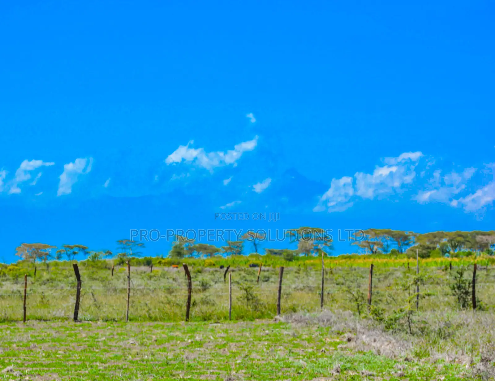Residential Plot For Sale In Nanyuki, Naromoru in Nanyuki