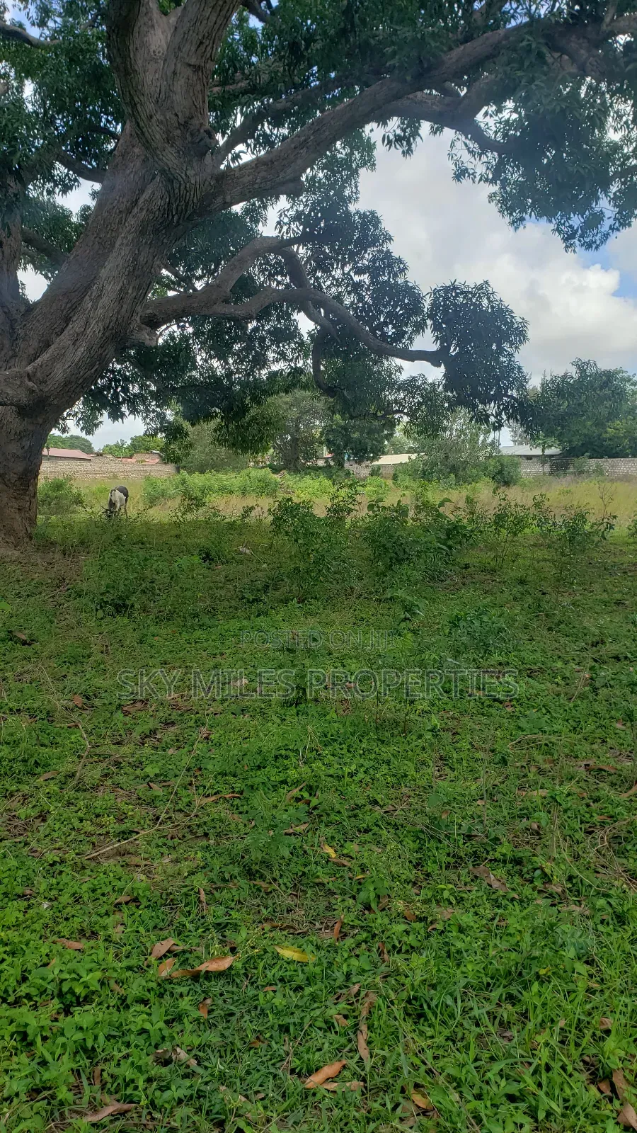 Mavueni Junction, 5 Acres Touching the Highway for Sale in Kilifi North