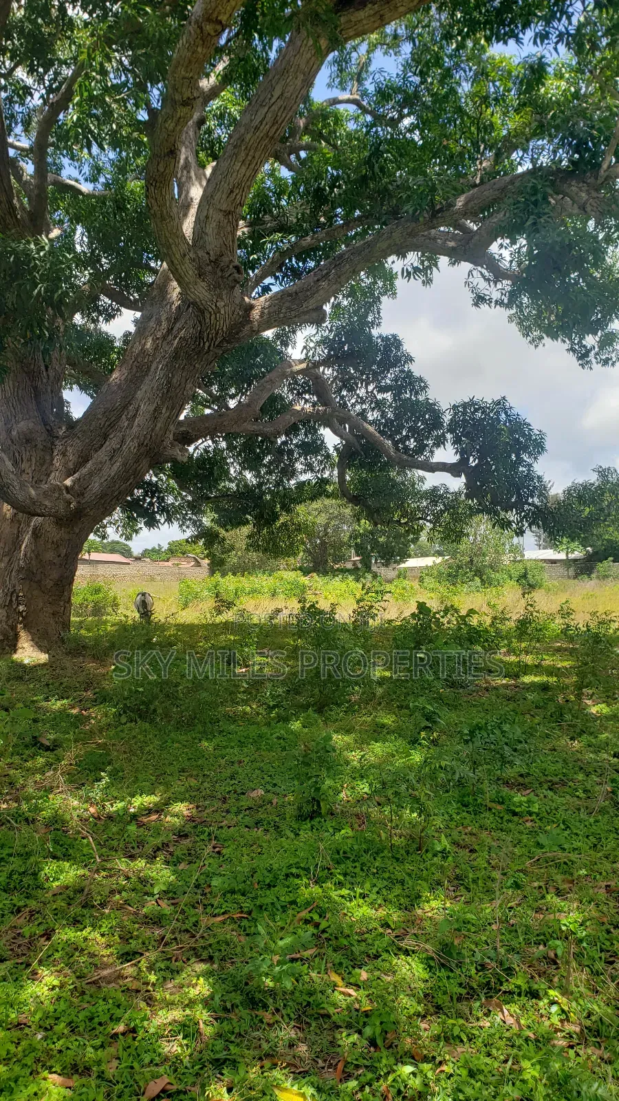 Mavueni Junction, 5 Acres Touching the Highway for Sale in Kilifi North
