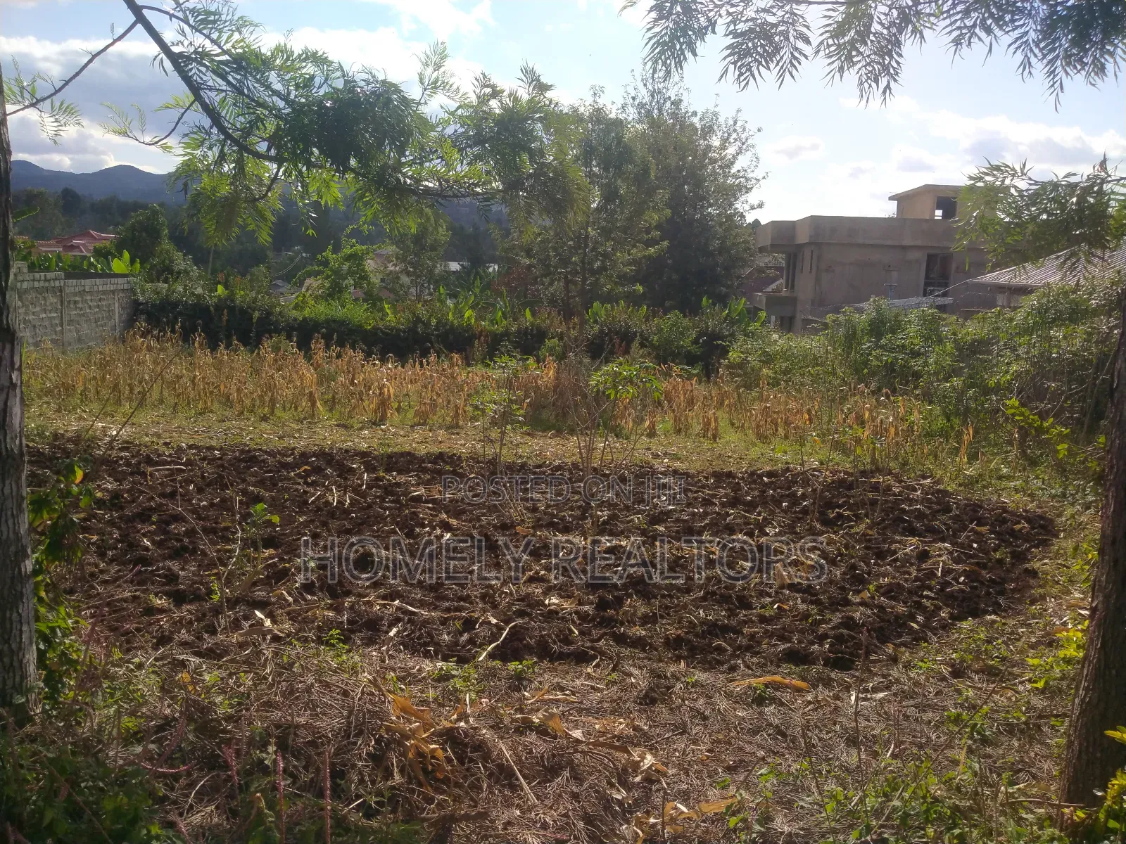 Residential Quarter Acre Plot in Ngong, Ol Keri Near Tarmac in Ngong