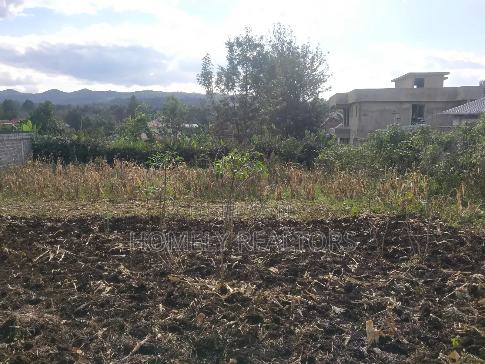 Residential Quarter Acre Plot in Ngong, Ol Keri Near Tarmac in Ngong