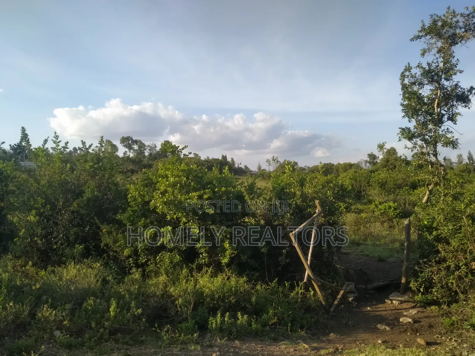 Quarter Acre Plot in Ngong, Olkeri 100 Meters From Tarmac in Ol Keri
