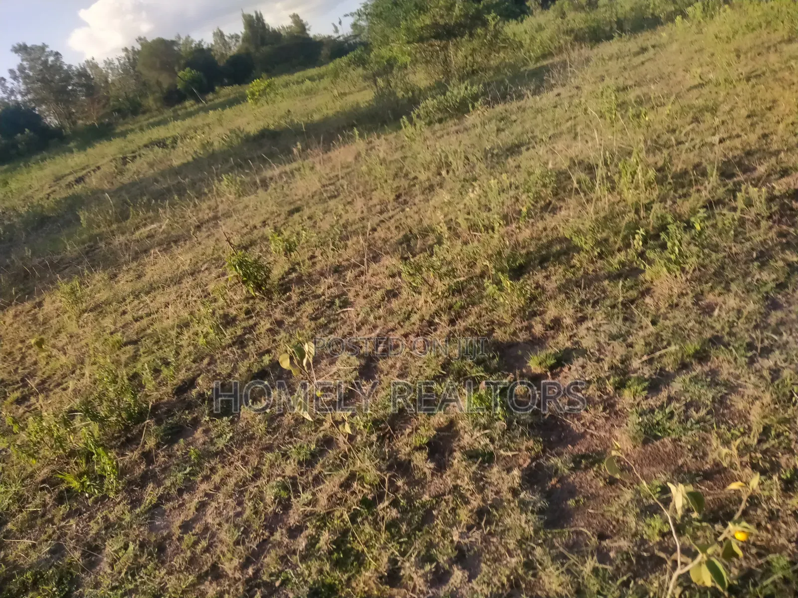 Quarter Acre Plot in Ngong, Olkeri 100 Meters From Tarmac in Ol Keri