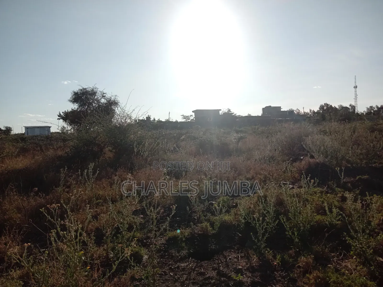 50*100 Plots Behind East Africa University in Kitengela