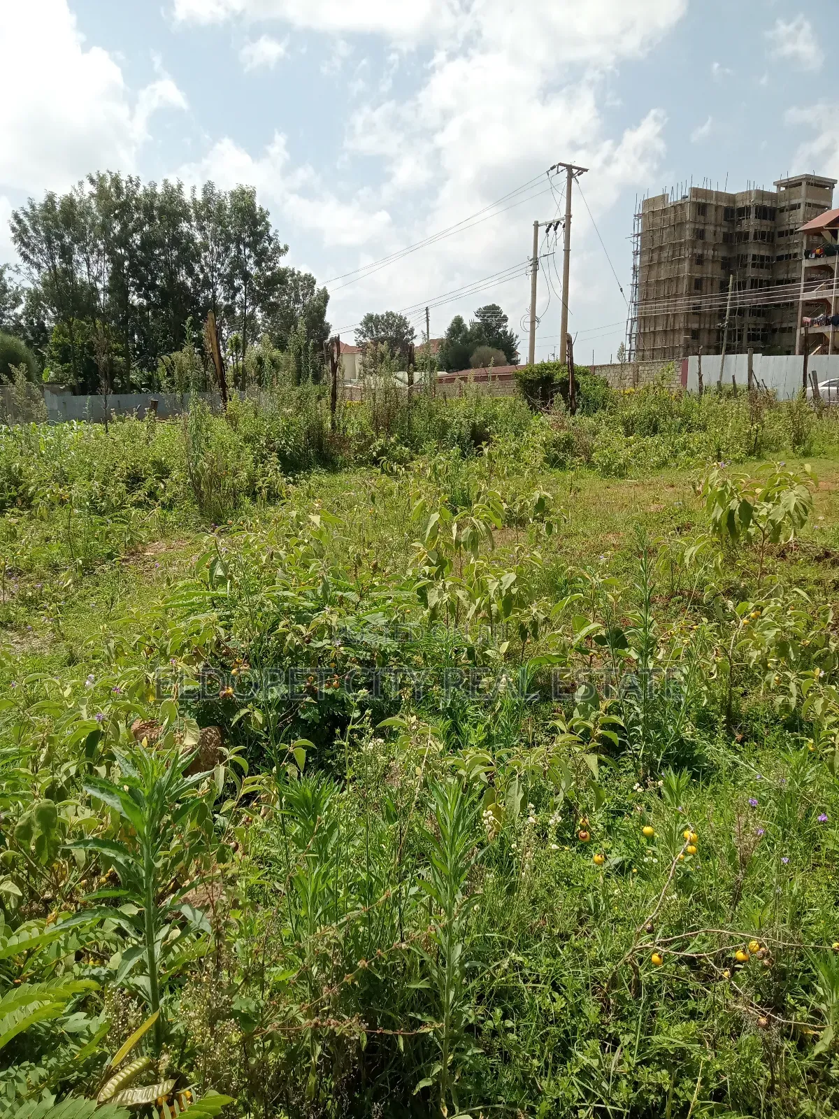 Annex Title Plot: Spacious 1/4 Acre Home Extension in Eldoret CBD