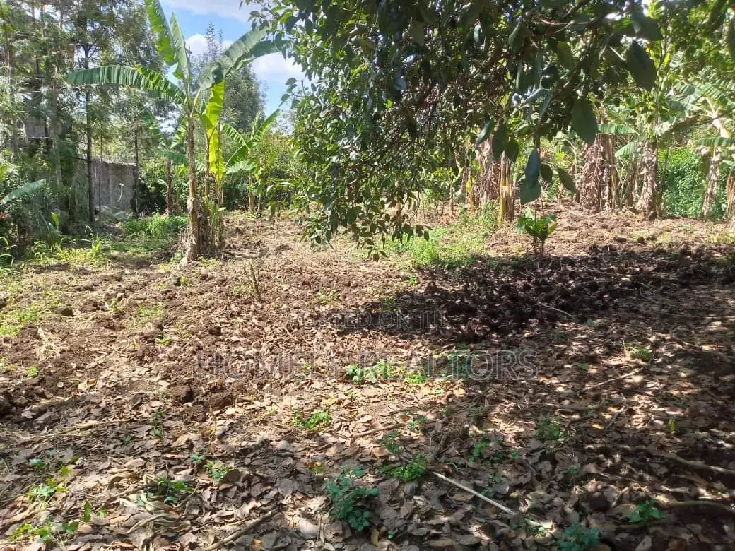 50*100 Plot on Sale in Ngong, Memusi. Has Good Neighborhood in Matasia