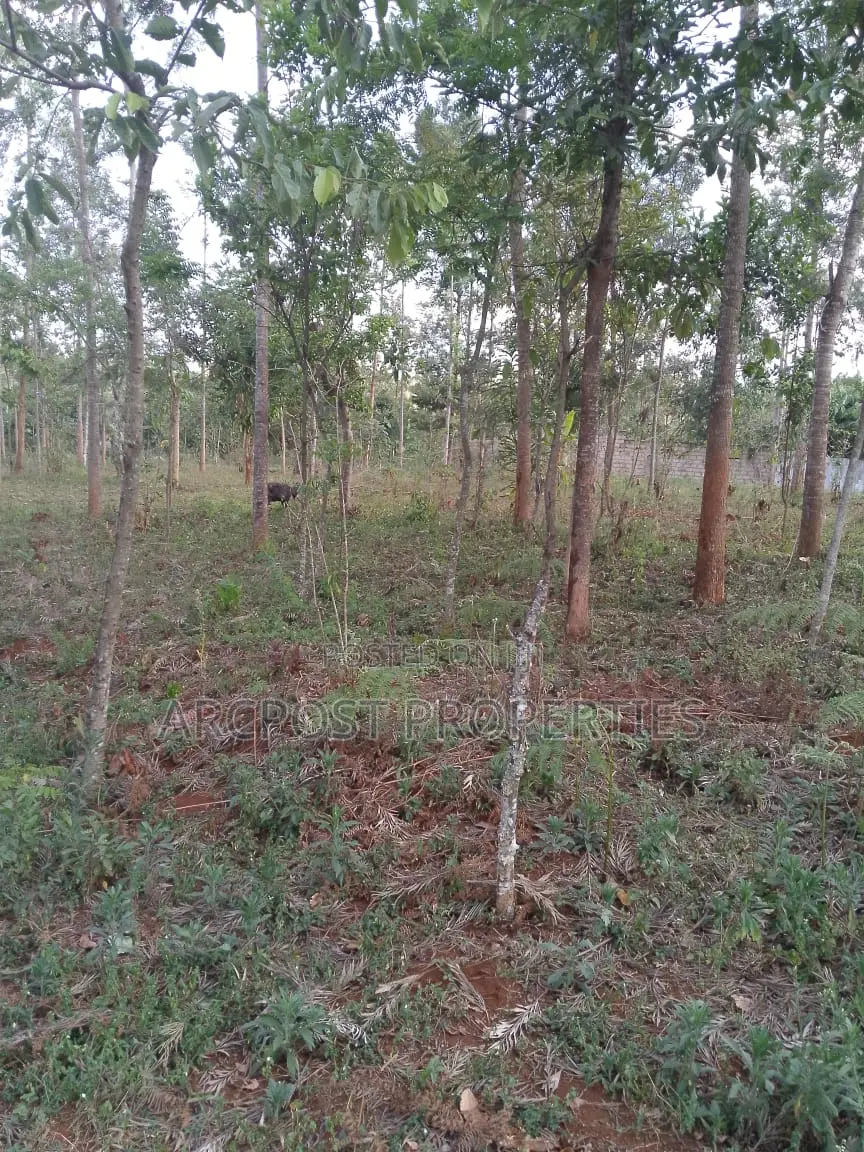50x100 Plot for Sale, 500 Meters From Gikumene, Meru in Municipality