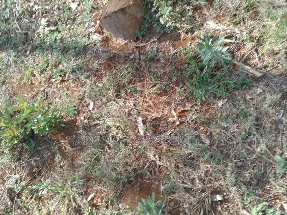 50x100 Plot for Sale, 500 Meters From Gikumene, Meru in Municipality