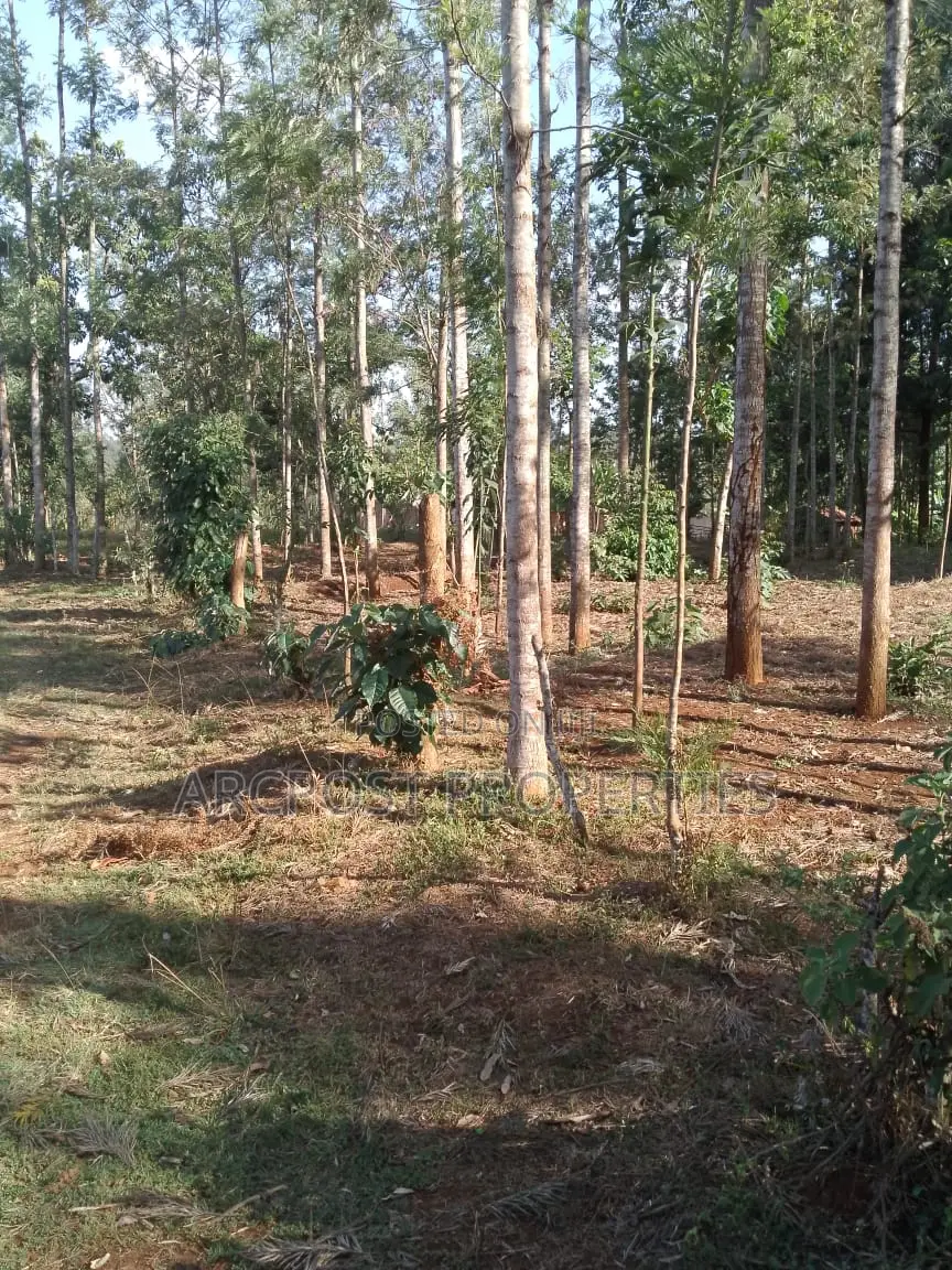 50x100 Plot for Sale, 500 Meters From Gikumene, Meru in Municipality