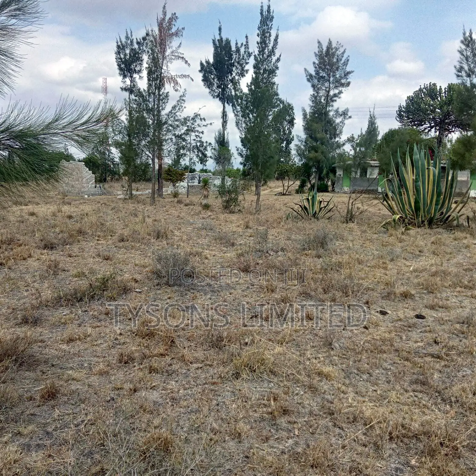 Commercial Land for Sale at Kantafu in Malaa