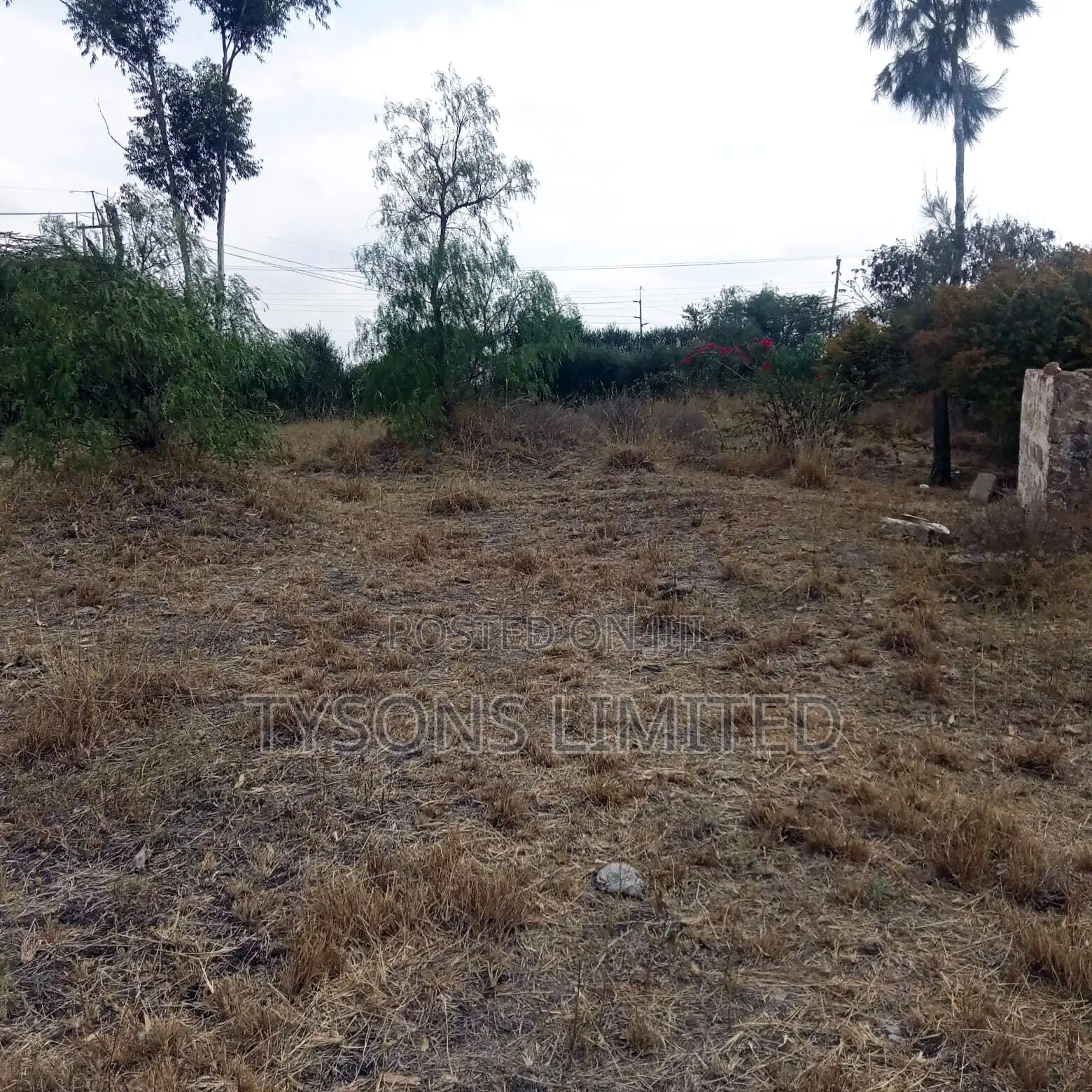 Commercial Land for Sale at Kantafu in Malaa