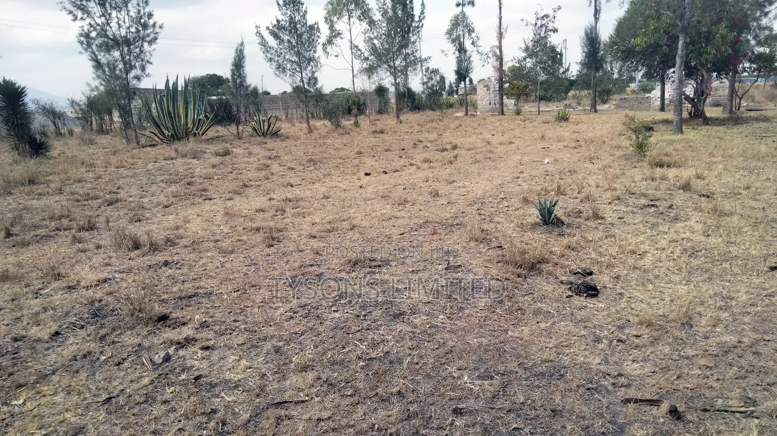 Commercial Land for Sale at Kantafu in Malaa