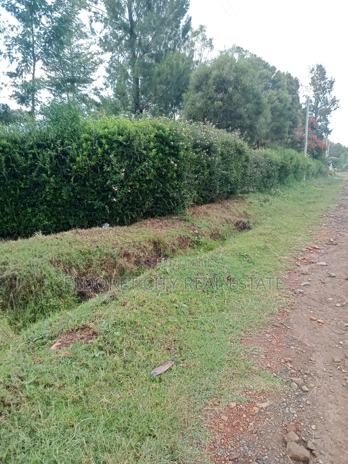 One Acre Elgonview Lower Ideal for Residential. in Soy