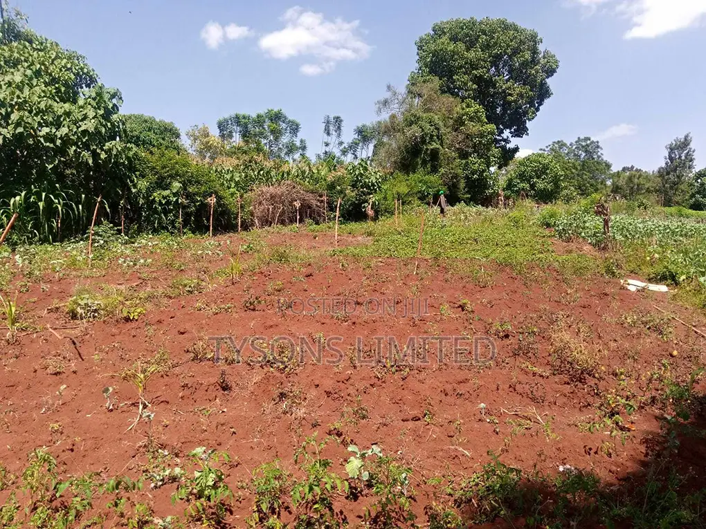 Spacious 0.5 Acre Land for Sale in Thome - Seize the Opportunity! in Thome