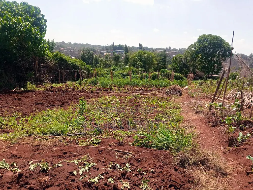 Spacious 0.5 Acre Land for Sale in Thome - Seize the Opportunity! in Thome