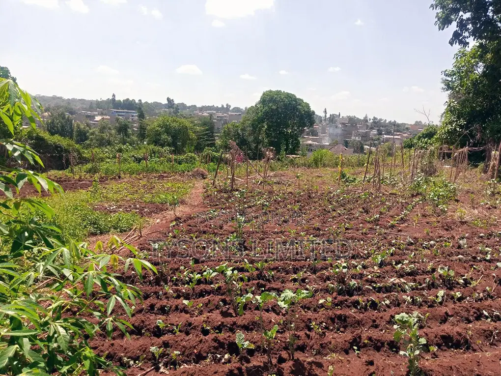 Spacious 0.5 Acre Land for Sale in Thome - Seize the Opportunity! in Thome