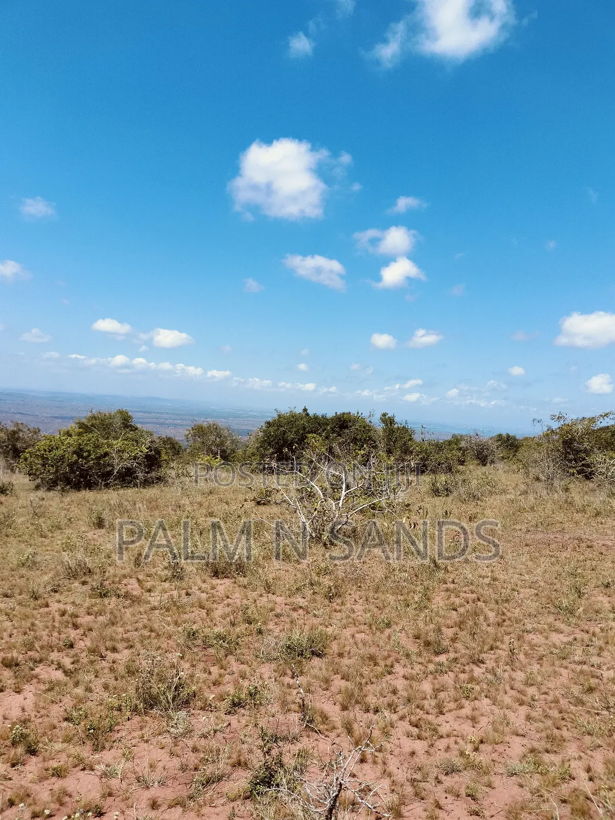 4.5 Acre Golini Ridge Land on Sale!! At in Tsimba Golini